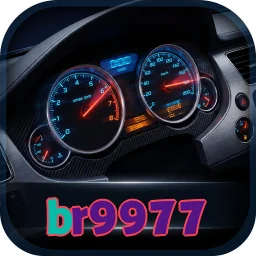br9977